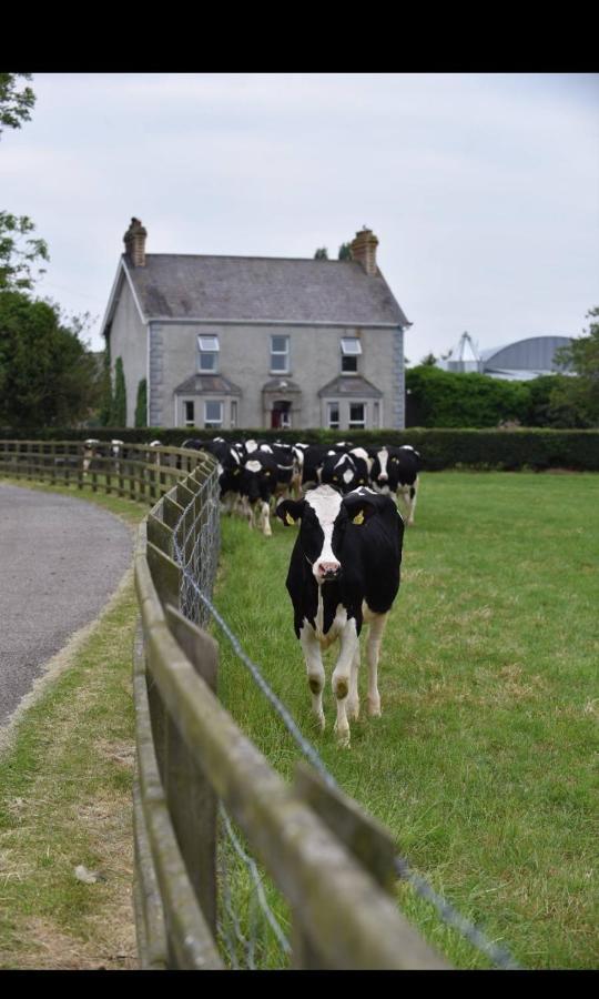 Ballyginniff Farm House Crumlin  Bagian luar foto